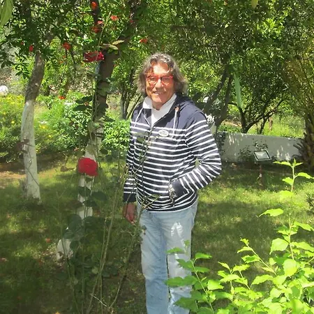 Ipek