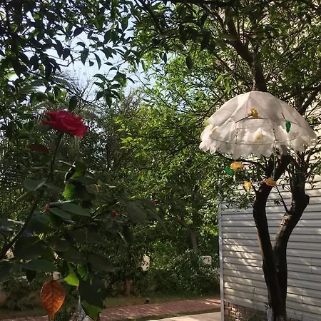 Отель Ipek